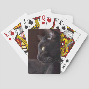 Porträt meines Jungen, Charlie Spielkarten