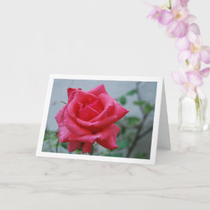 Porträt mit rosa Rosenblüten Karte