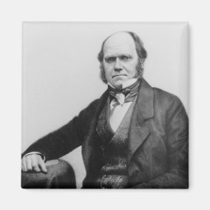 Porträt von Charles Darwin, 1854 Magnet