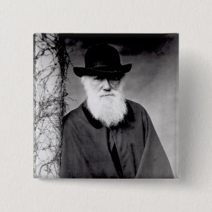 Porträt von Charles Darwin 1881 Button