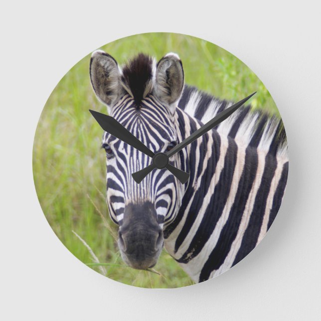 Porträt von EbenenZebra, Hluhluwe-Umfolozi Spiel Runde Wanduhr (Vorderseite)