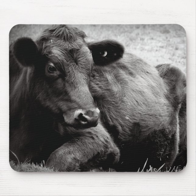 Porträt von einem Angus Mousepad (Vorne)