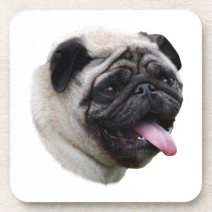 Porträt von Mops-Hund-Foto Untersetzer