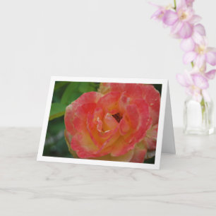 Porträt von rosa und gelben Rosenblüten Karte