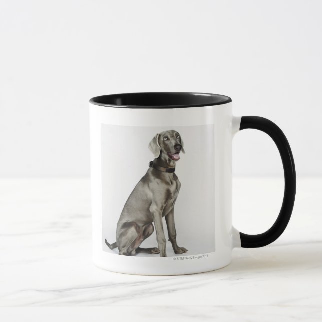 Porträt von Weimaraner Hund Tasse (Rechts)