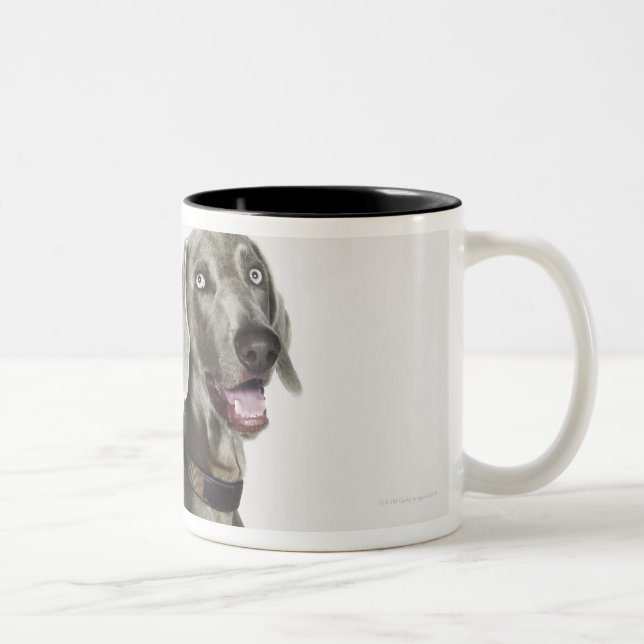Porträt von Weimaraner Hund Zweifarbige Tasse (Rechts)