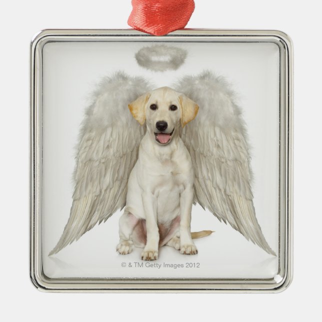 Porträt weißen Labrador retrievertragens Ornament Aus Metall (Vorne)