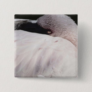 Porträt-Zeichnungseffekt Kunst Rosa Flamingo Button