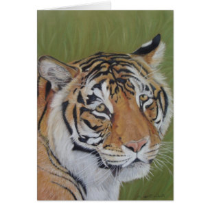 Porträtbild der großen Tigerkatze