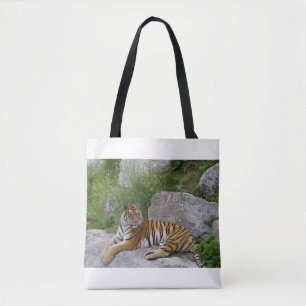 Porträtfoto eines Sibirischen Tigers