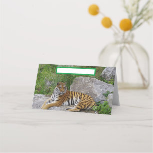 Porträtfoto eines Sibirischen Tigers Platzkarte
