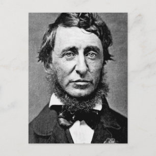 Porträtfotografie von Henry David Thoreau Postkarte