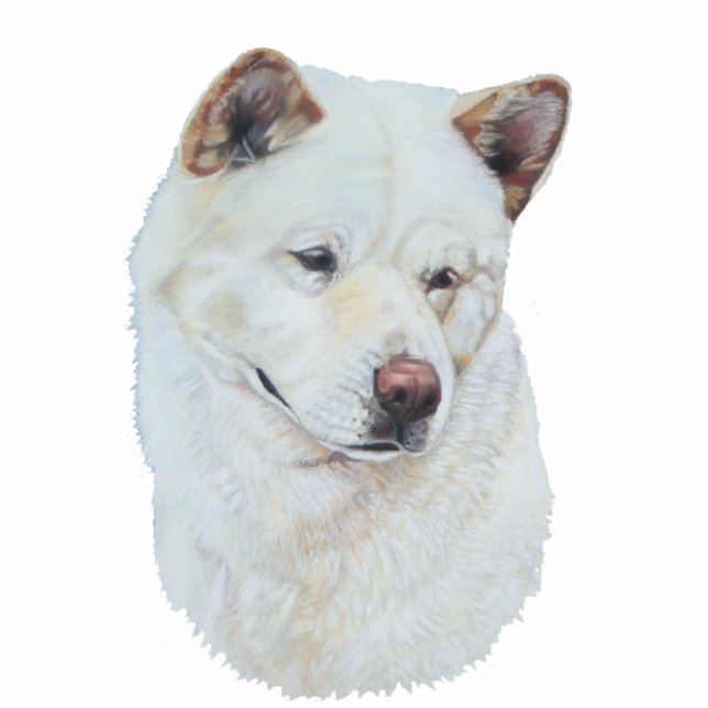 Porträtmalerei auf weißen Akita-Hund Fotoskulptur Magnet (Vorne)