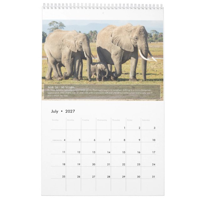 Porträts einer Elefantenlebenslang Kalender (Jul 2027)