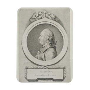 Porträtstudie von George Stubbs (1724-1806) (weic Magnet