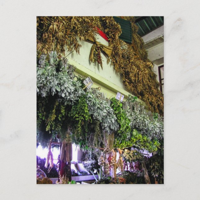 (Portugal) auf dem französischen Postkartenmarkt Postkarte (Vorderseite)