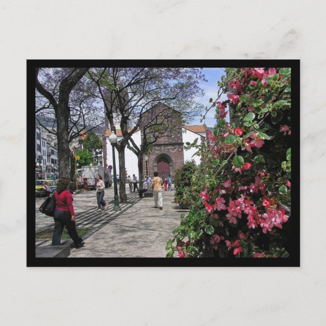 (Portugal) Funchal, Madeira Postcard Postkarte (Vorderseite)