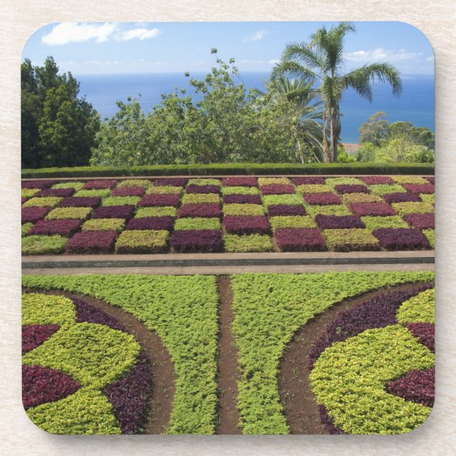 Portugal, Madeira, Funchal. botanisch Getränkeuntersetzer (Vorderseite)