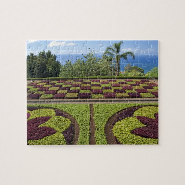 Portugal, Madeira, Funchal. botanisch Puzzle (Horizontal)