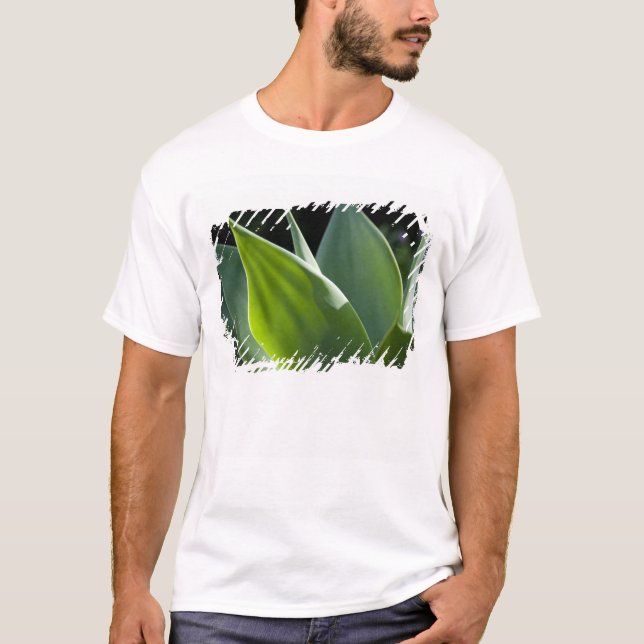 Portugal, Madeira, Funchal. botanisch T-Shirt (Vorderseite)