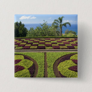 Portugal, Madeira Insel, Funchal. Botanisch Button