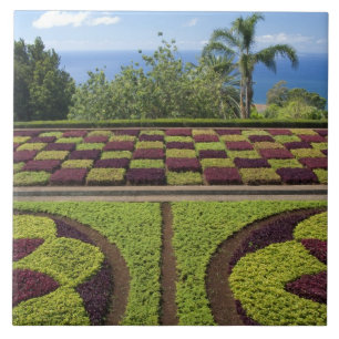 Portugal, Madeira Insel, Funchal. Botanisch Fliese