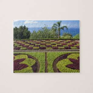 Portugal, Madeira-Insel, Funchal. Botanisch Puzzle