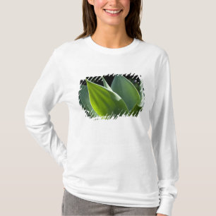 Portugal, Madeira Insel, Funchal. Botanisch T-Shirt