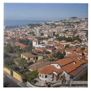 Portugal, Madeira Insel, Funchal. Seilbahn Fliese