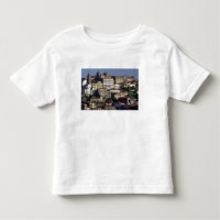 Portugal, Porto. Historische Häuser und