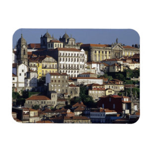 Portugal, Porto. Historische Häuser und Magnet