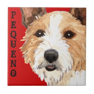 Portugiesisch Podengo Pequeno Fliese