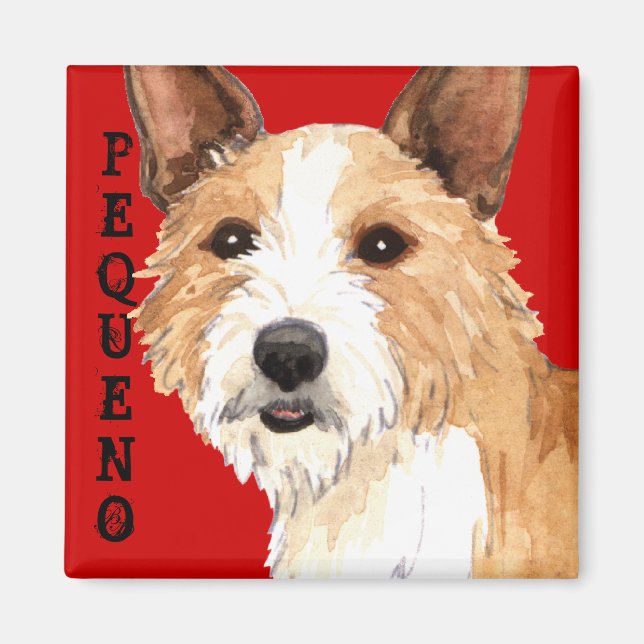 Portugiesisch Podengo Pequeno Magnet (Vorne)