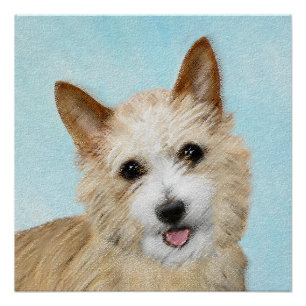 Portugiesisch Podengo Pequeno Malerei - Originelle Poster