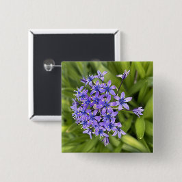 Portugiesische Squill-Blume Schließen Naturschutzg Button