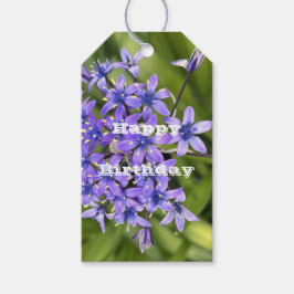 Portugiesische Squill-Blume Schließen Naturschutzg Geschenkanhänger
