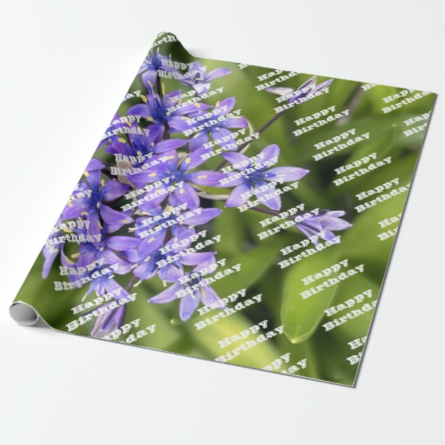 Portugiesische Squill-Blume Schließen Naturschutzg Geschenkpapier (Ungerollt)
