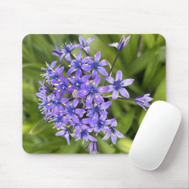 Portugiesische Squill-Blume Schließen Naturschutzg Mousepad