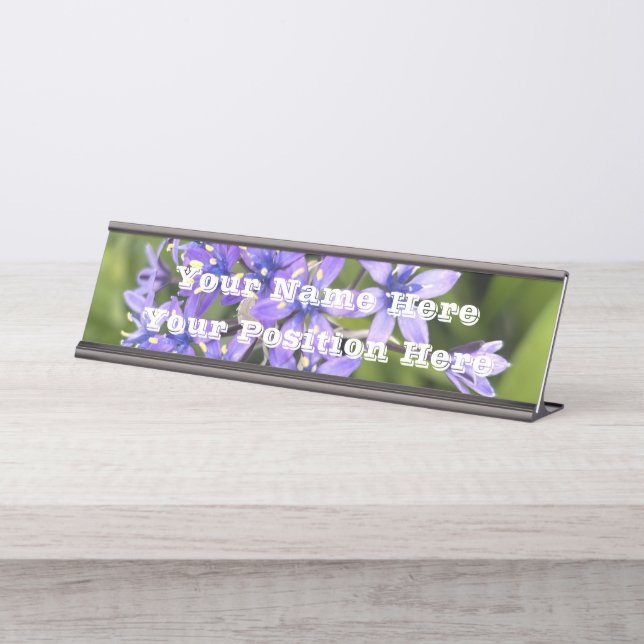 Portugiesische Squill-Blume Schließen Naturschutzg Schreibtischnamensplakette (Vorderseite )