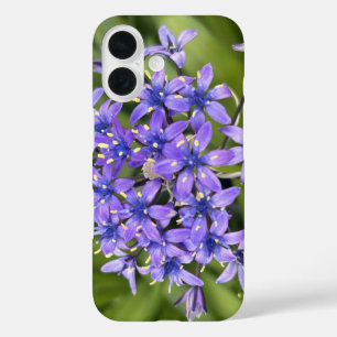 Portugiesische Squill-Blüten Nahaufnahme Naturfoto iPhone 16 Hülle