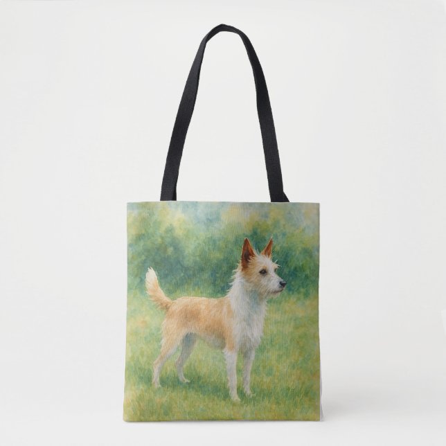 Portugiesischer Podengo (Vorderseite)