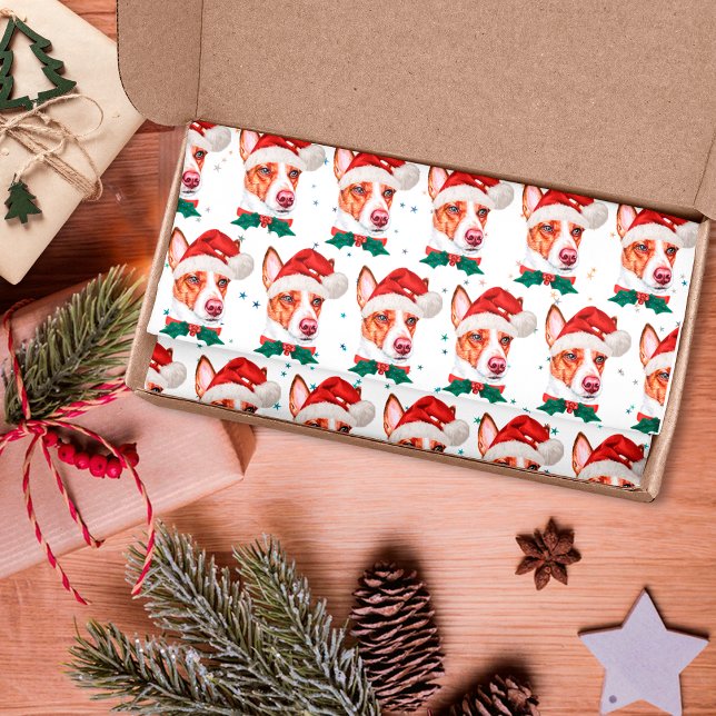 Portugiesischer Podengo Dog Breed Christmas Stars Seidenpapier (Von Creator hochgeladen)