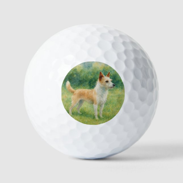 Portugiesischer Podengo Golfball (Vorderseite)