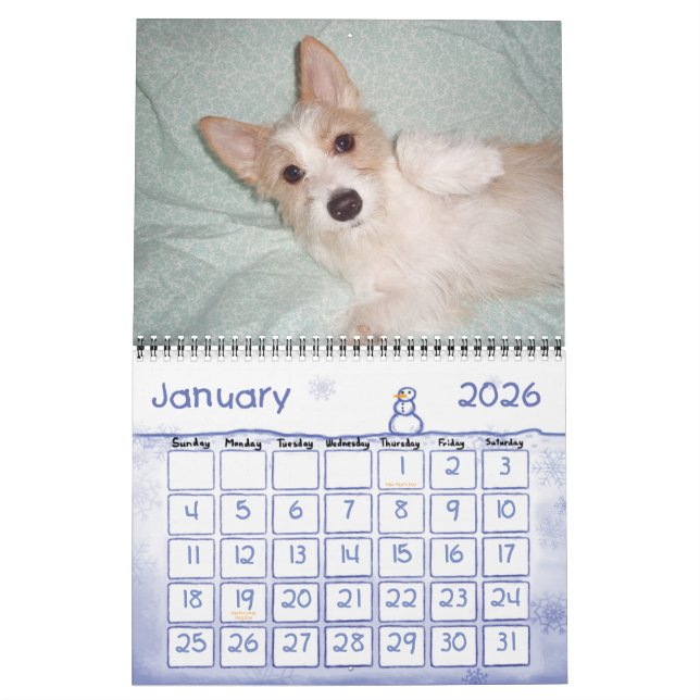 Portugiesischer Podengo Pequeno-Kalender Kalender (Jan 2026)