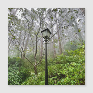 Portugiesischer Schwanz Magnetkarte