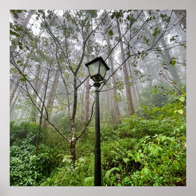 Portugiesischer Schwanz Poster (Vorne)