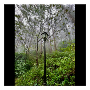 Portugiesischer Schwanz Poster