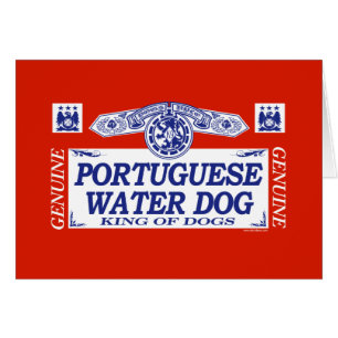 Portugiesischer Wasser-Hund