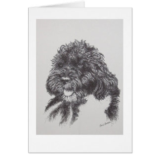 Portugiesischer Wasser-Hund BO Obama