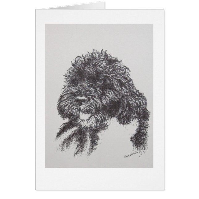 Portugiesischer Wasser-Hund BO Obama (Vorne)